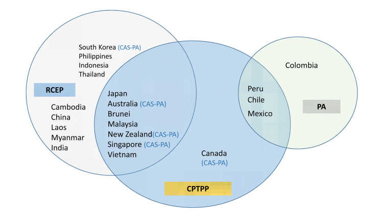 Grafische Darstellung China führt ein Mega-Block-Handelsabkommen namens Regional Comprehensive and Economic Partnership (RCEP) an, das sich in Bezug auf seine asiatischen Mitglieder mit der TPP überschneidet.