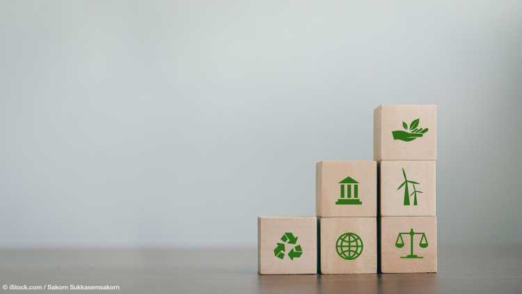 Environment Society Wooden Cube