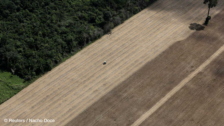 Ein Traktor arbeitet auf einer Weizenplantage auf ehemals unberührtem Amazonas-Regenwald in der Nähe der Stadt Santarem.