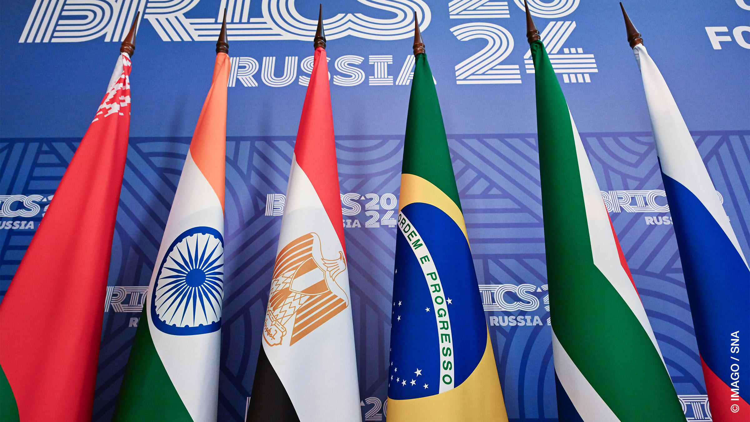 Global Perspectives on BRICS+