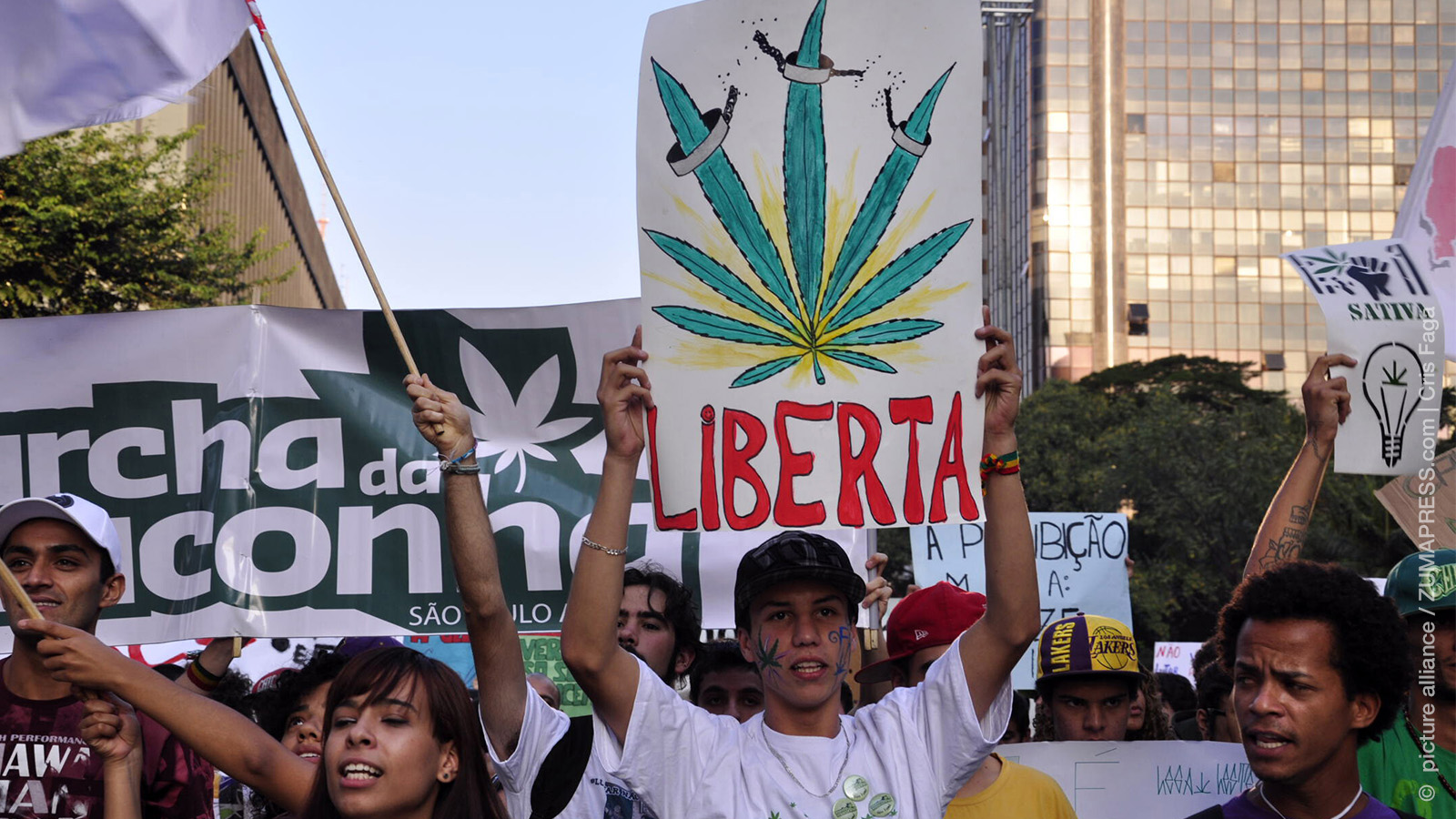 Left Politics and Liberal Drug Policies in Latin America: Elective Affinity or Strange Bedfellows?