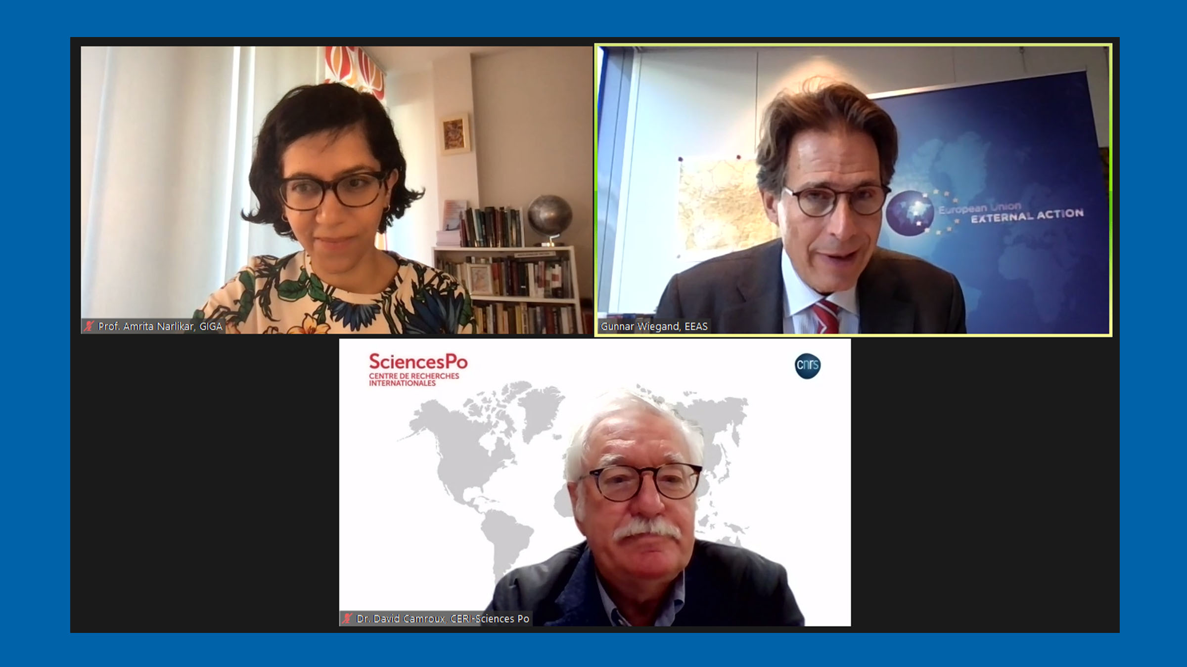 Amrita Narlikar, Gunnar Wiegand, David Camroux