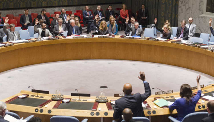 Picture UN Security Council