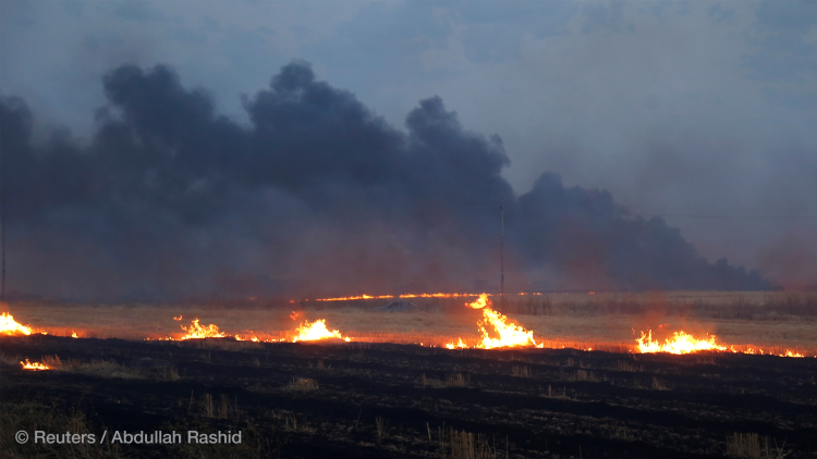 Scorched Earth Tactics of the “Islamic State” After its Loss of Territory: Intentional Burning of Farmland in Iraq and Syria
