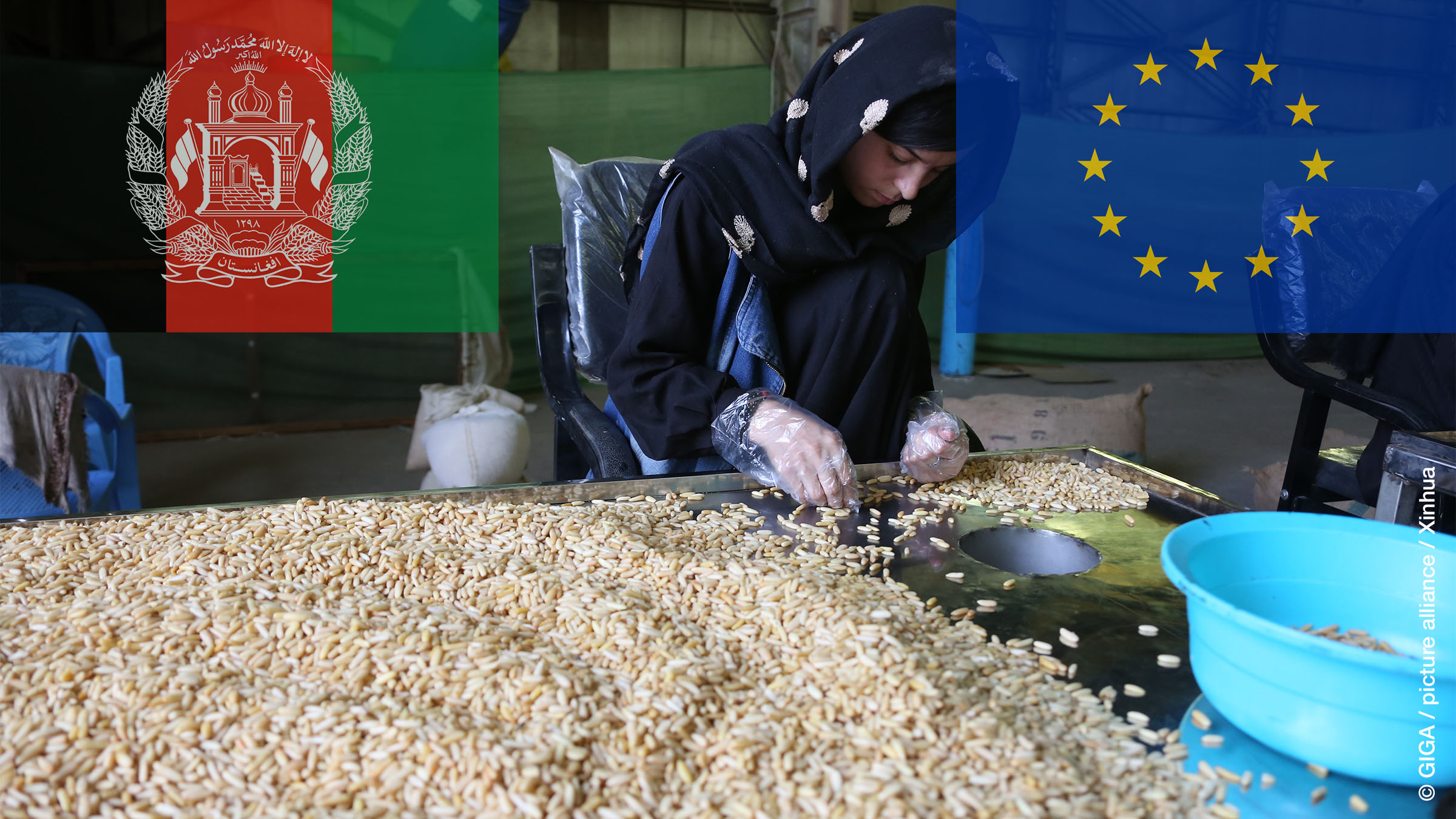 Aid in Unstable Times: Afghan Experiences and Future EU Engagement