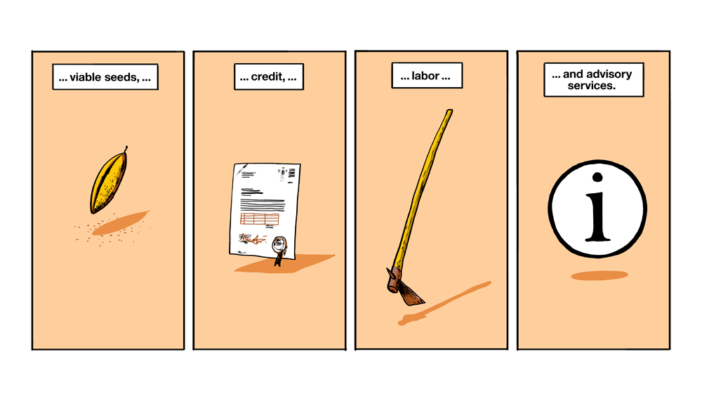 GIGA Rural Transformations in sub-Saharan Africa 34