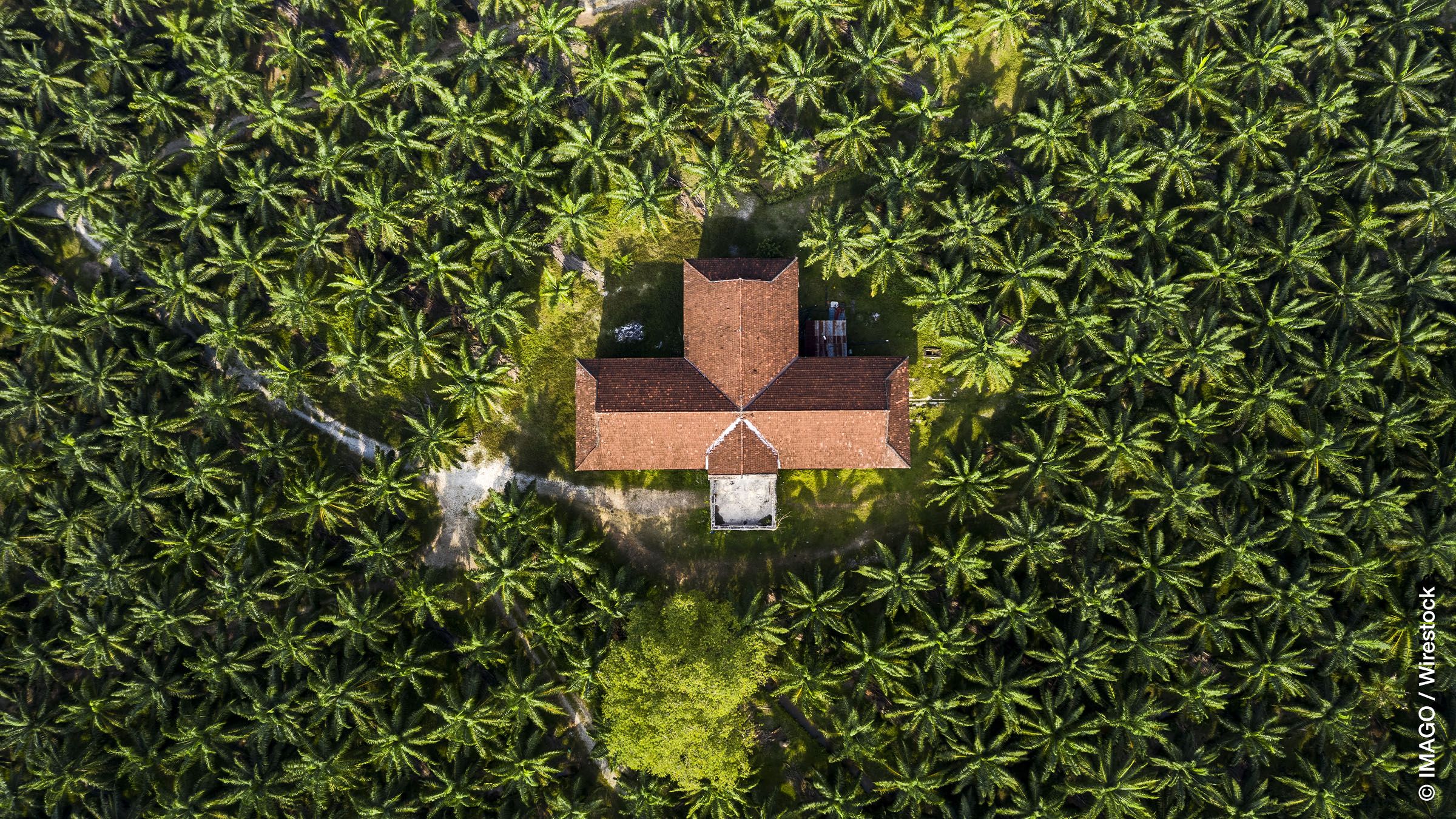 Who Benefits from Tree-Planting in the Global South?: The Case of Two Carbon Offset Projects in Laos