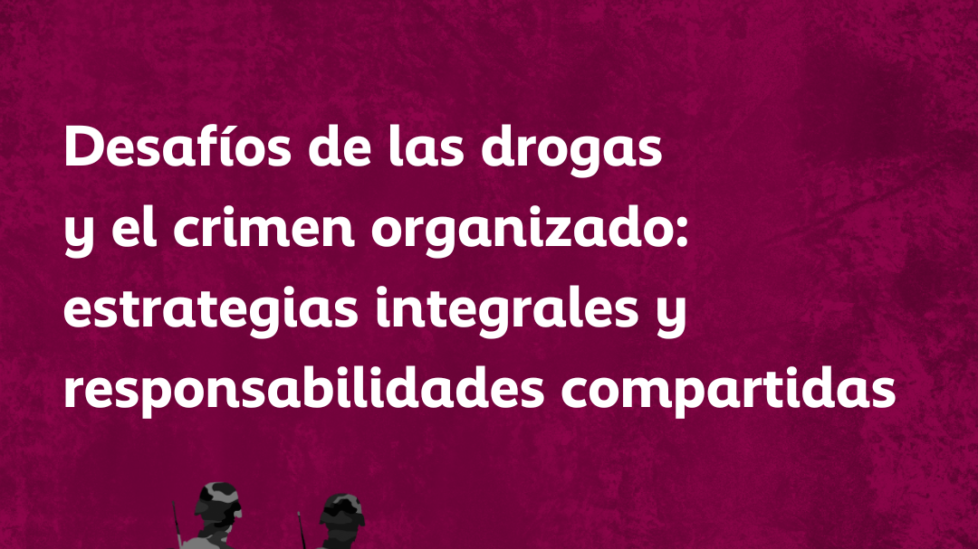Desafíos de las Drogas y el Crimen Organizado: Estrategias Integrales y Responsabilidades Compartidas