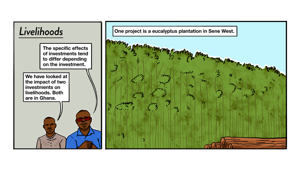 GIGA Rural Transformations in sub-Saharan Africa 20