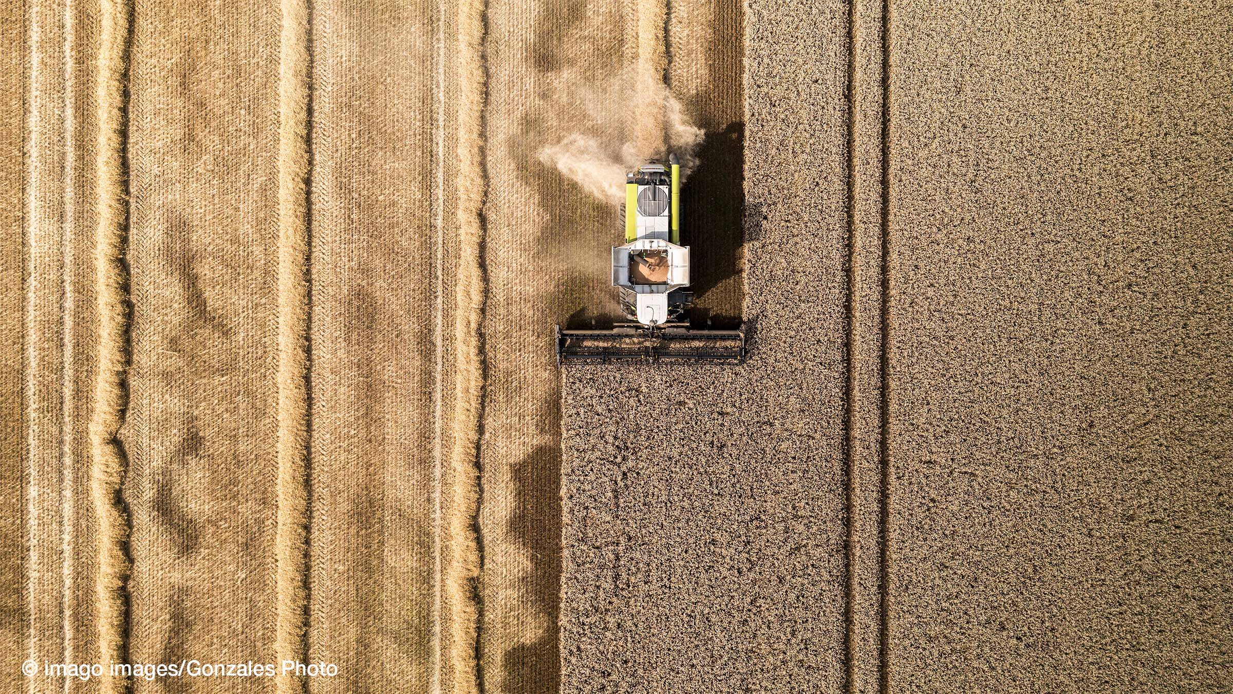 Taking Stock of the Global Land Rush: Few Development Benefits, many Human and Environmental Risks