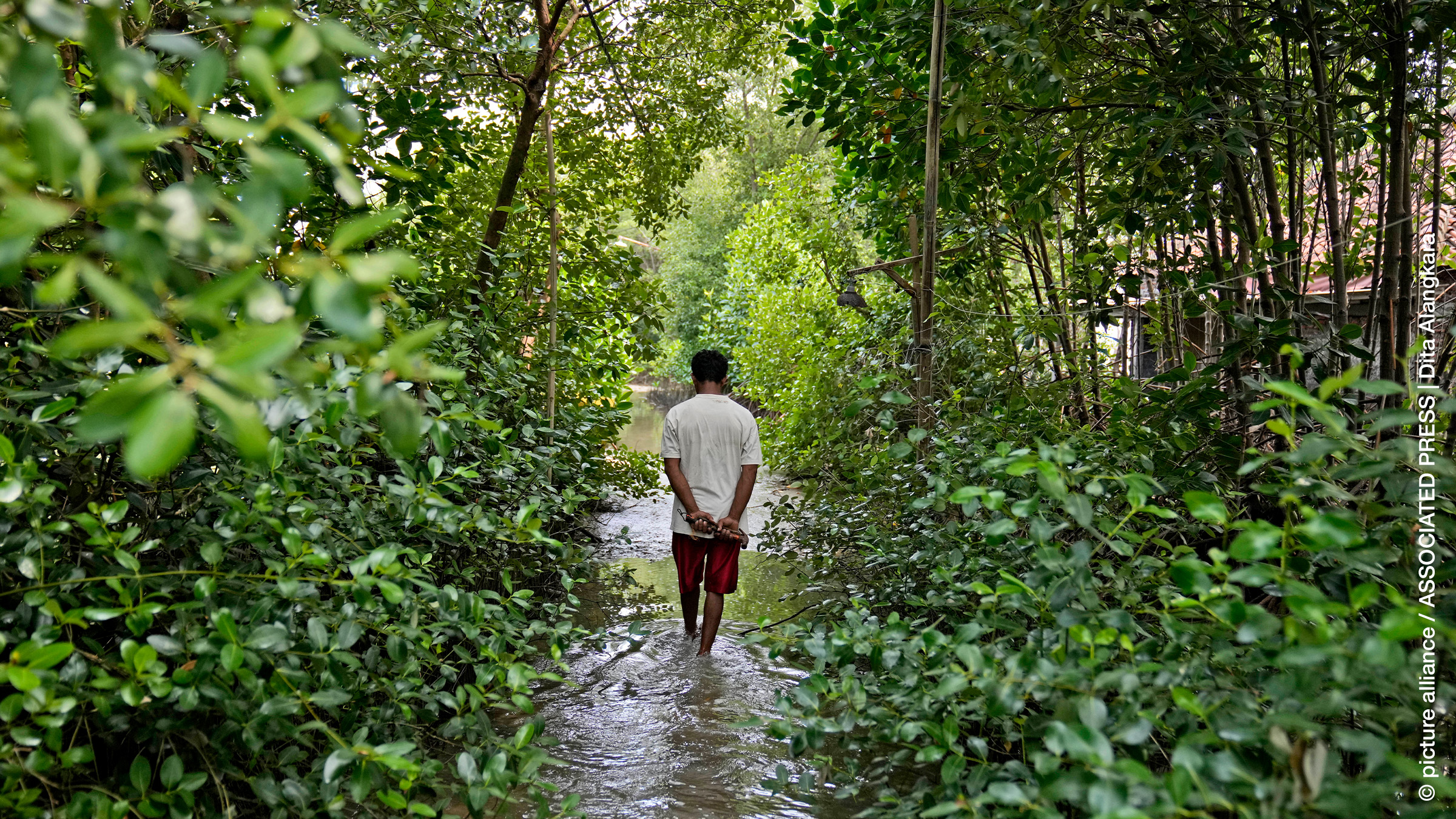 Implementing Carbon Offset Projects in Indonesia’s Rainforests: A Win-Win for Climate and Local Communities?