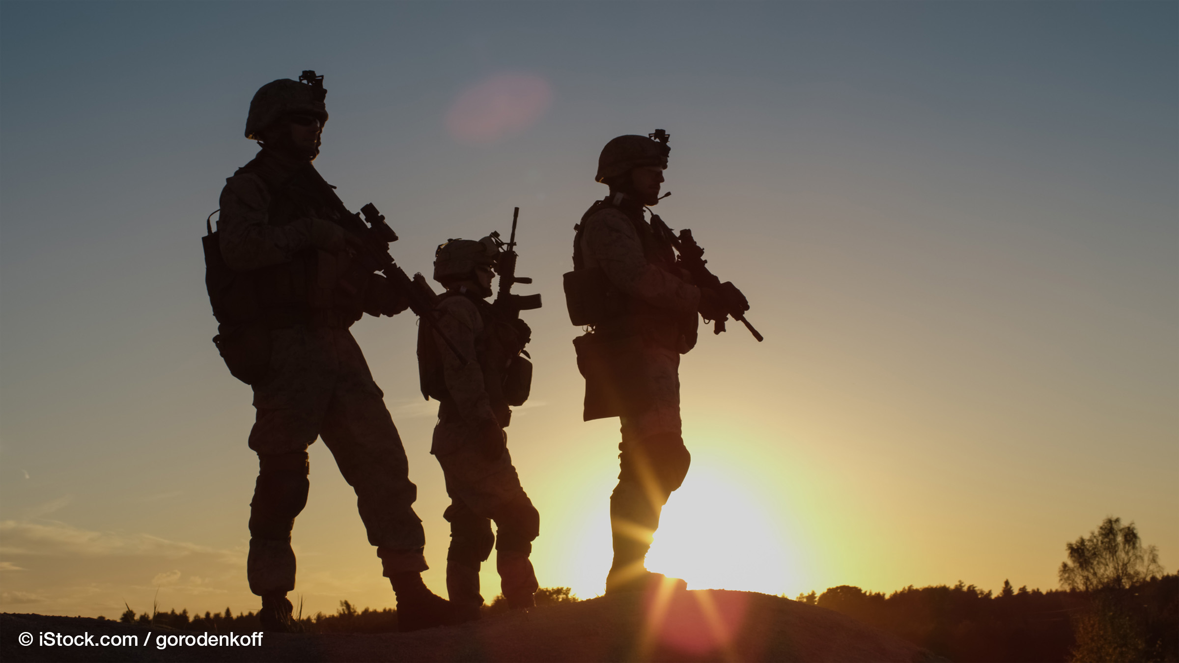 Militärisches Eingreifen in Syrien und im Irak