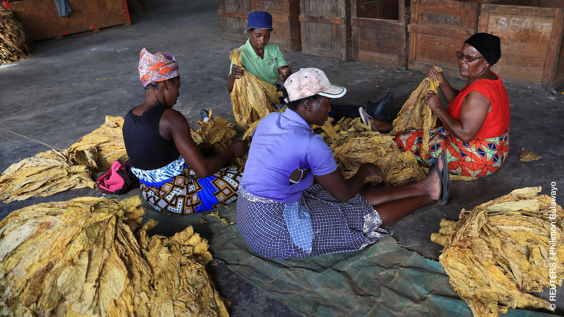 New Africa Spectrum 2/2023