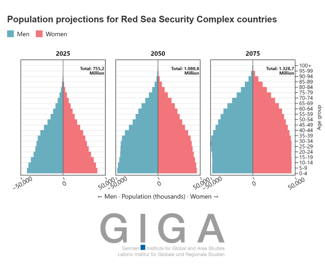Population Dynamics in the RSSC: Growth Projections and Age Structures Through Demographic Pyramids