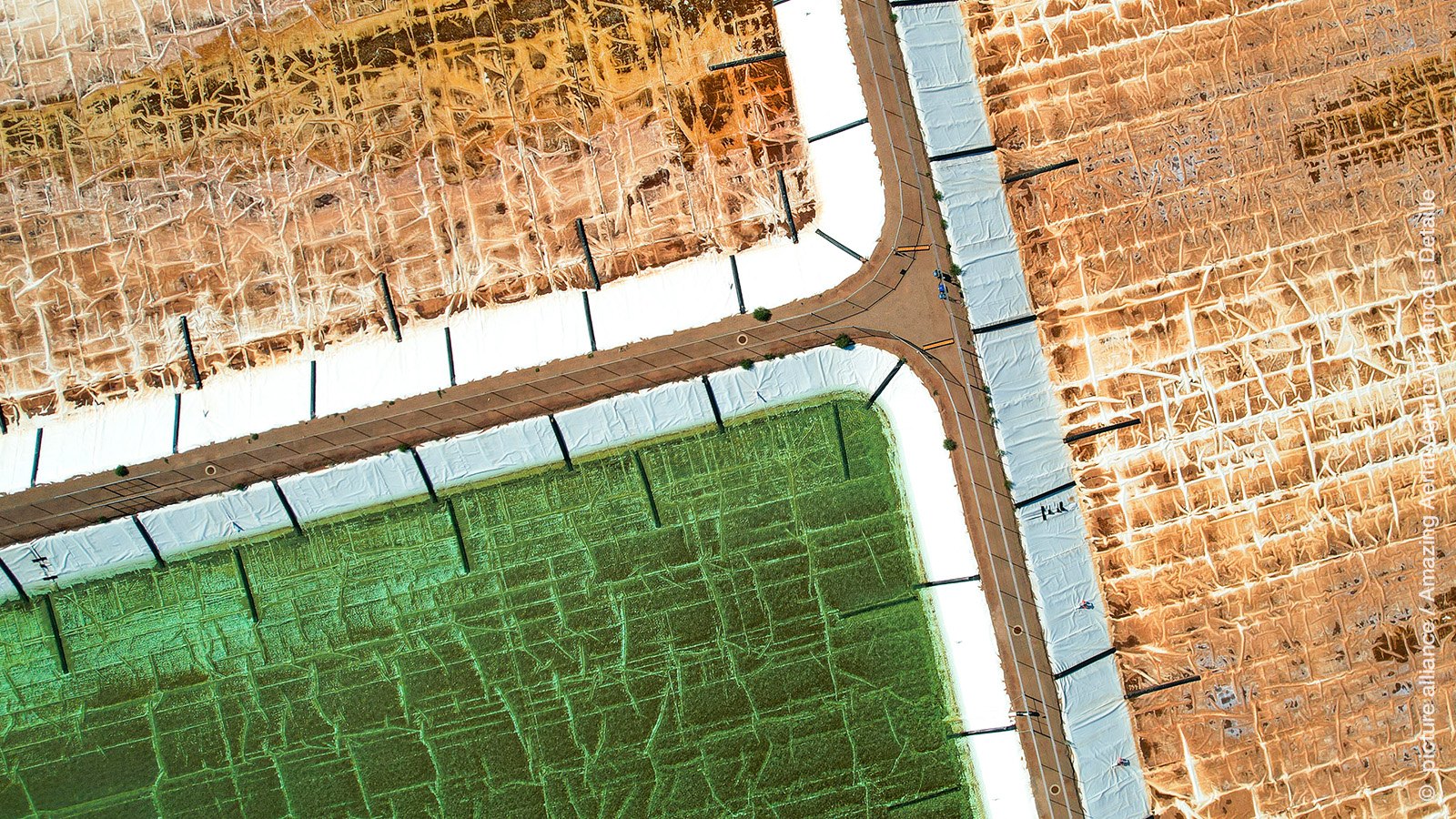 Green gifts from abroad?: FDI and firms' green management