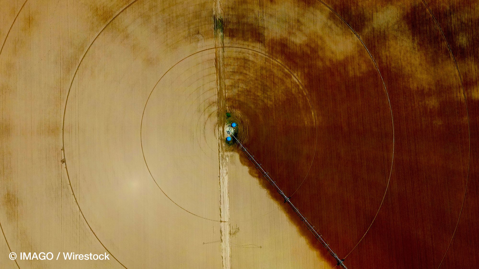 The Carbon Cost of Agricultural Production in the Global Land Rush