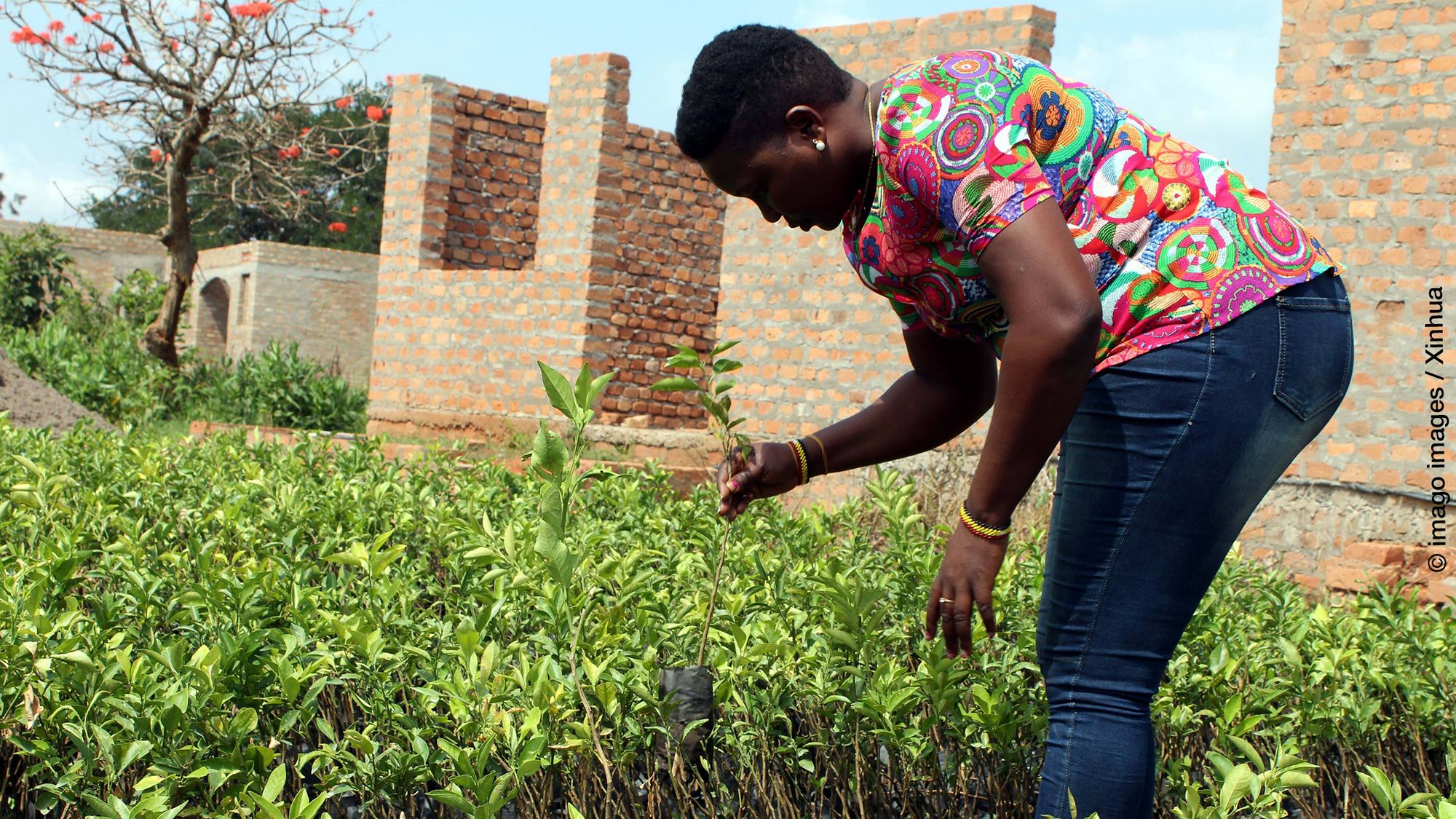 Neues Africa Spectrum 2/2022