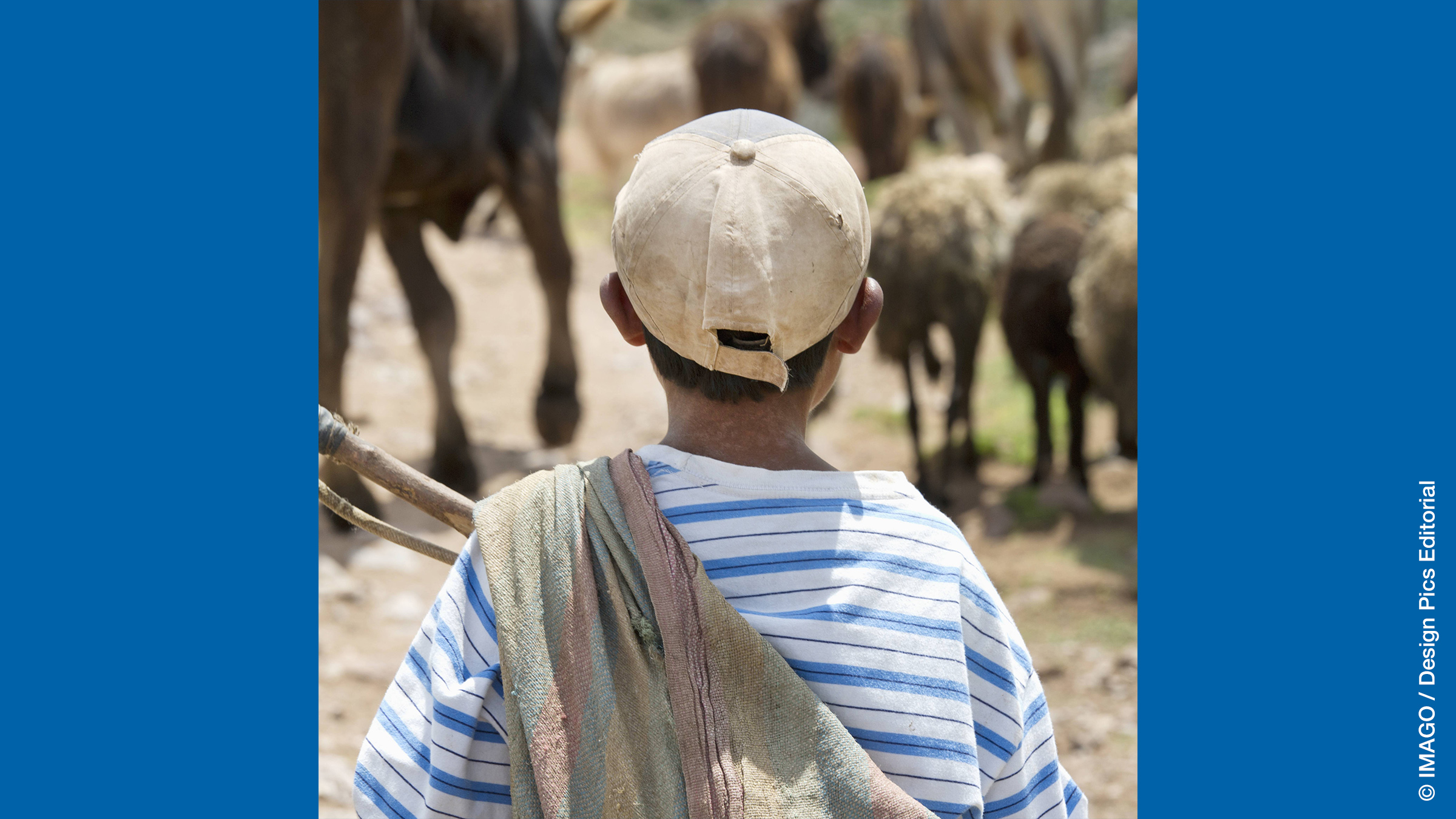 Child Labour Policies in the Americas: Why Progress Has Become Uncertain