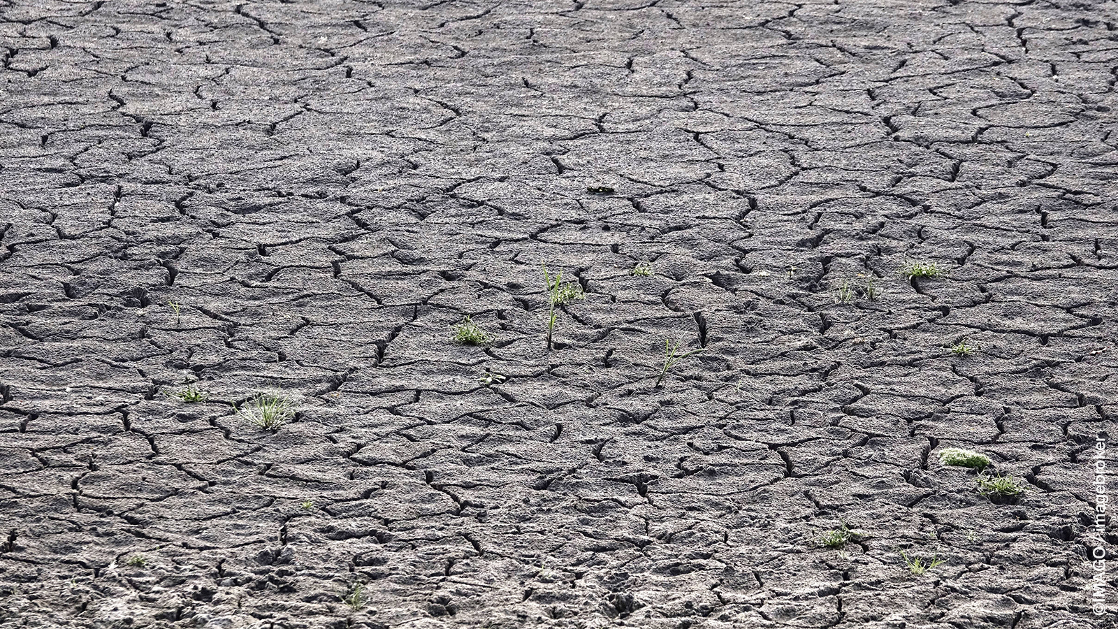 Critical Intervention Points for European Adaptation to Cascading Climate Change Impacts