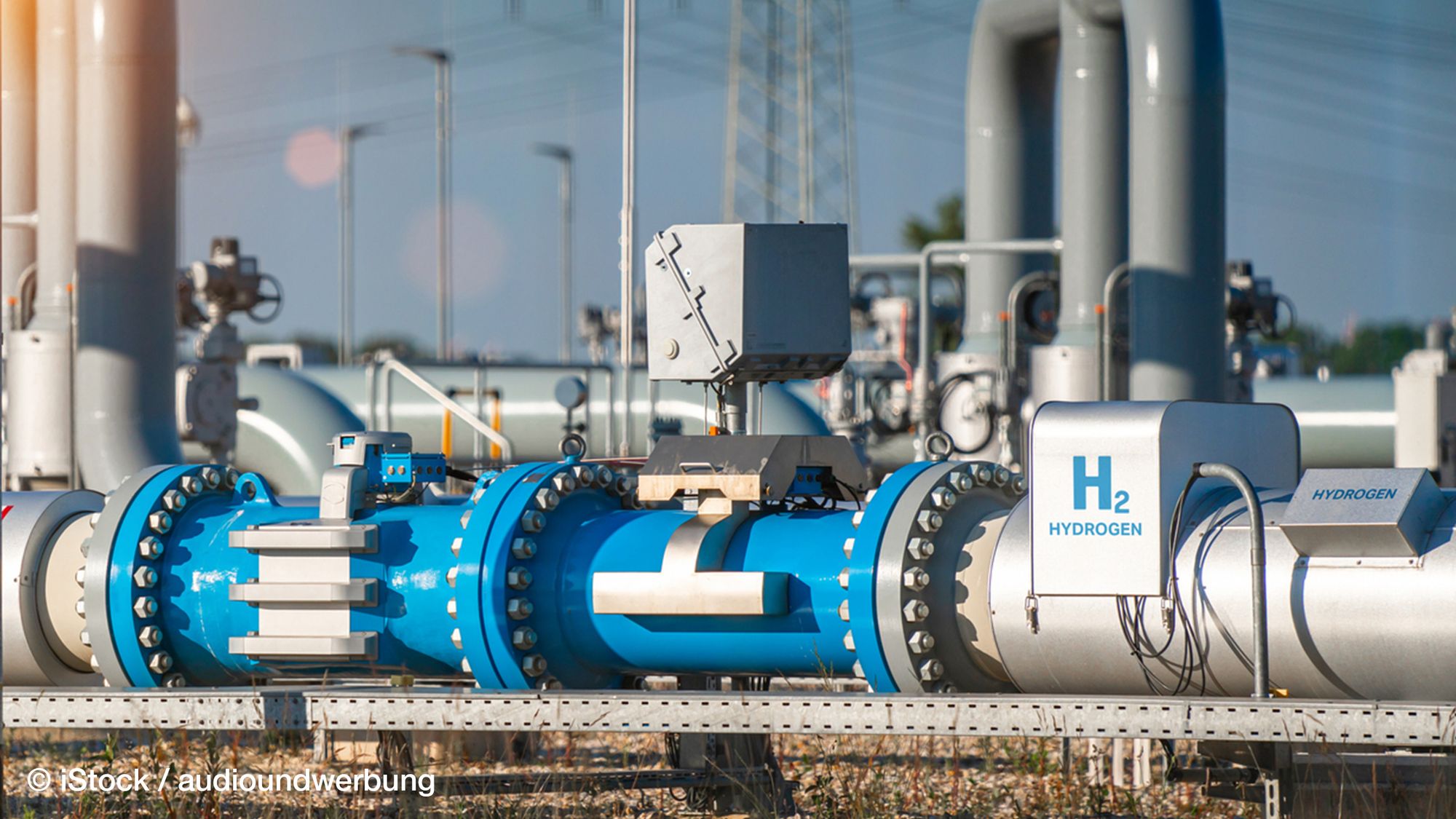 Wind turbine plant for hydrogen