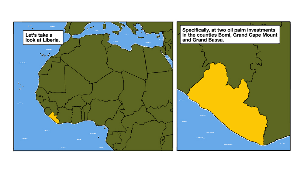 GIGA Rural Transformations in sub-Saharan Africa 10