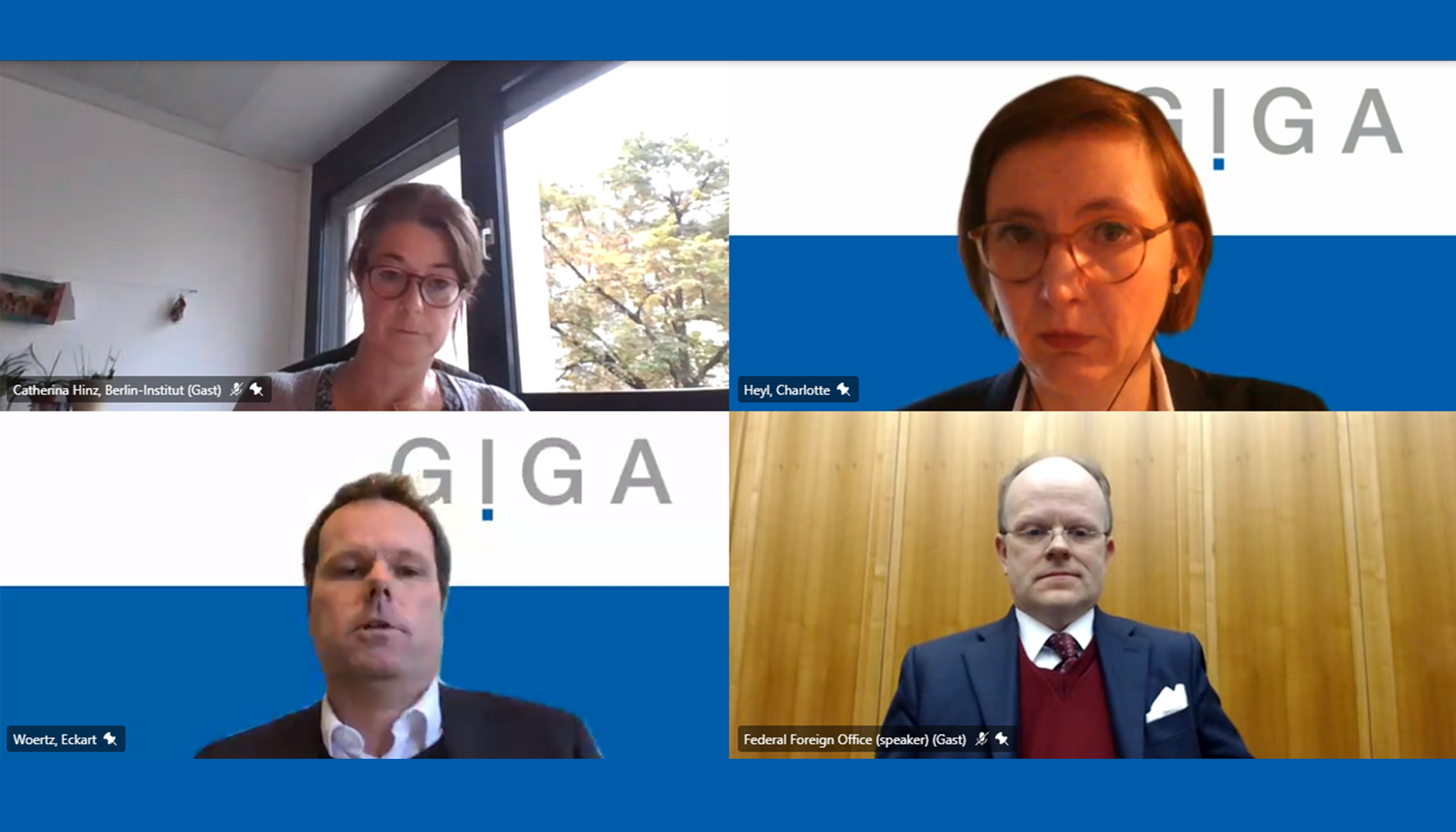 Screenshot vom GIGA Forum Bevölkerungswachstum als Sicherheitsrisiko in Afrika