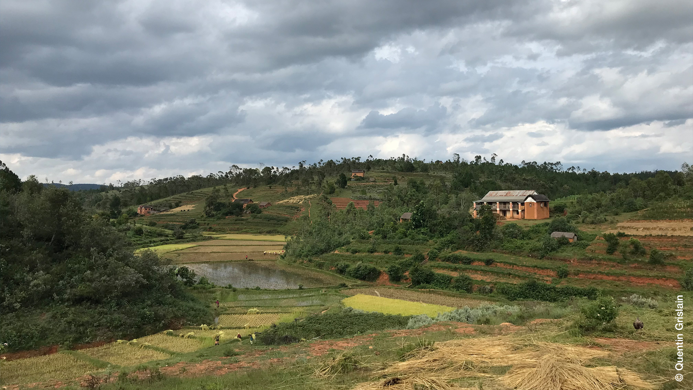 Global Carbon Markets and Rural Development in Madagascar