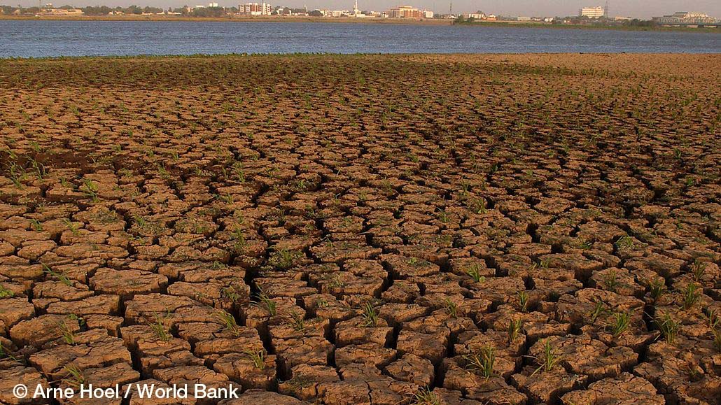 PEGNet Conference 2021