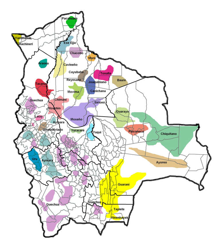 Grafik Indigene Völker Boliviens und ihre Siedlungsgebiete (unterteilt nach ­Sprachen), 2006