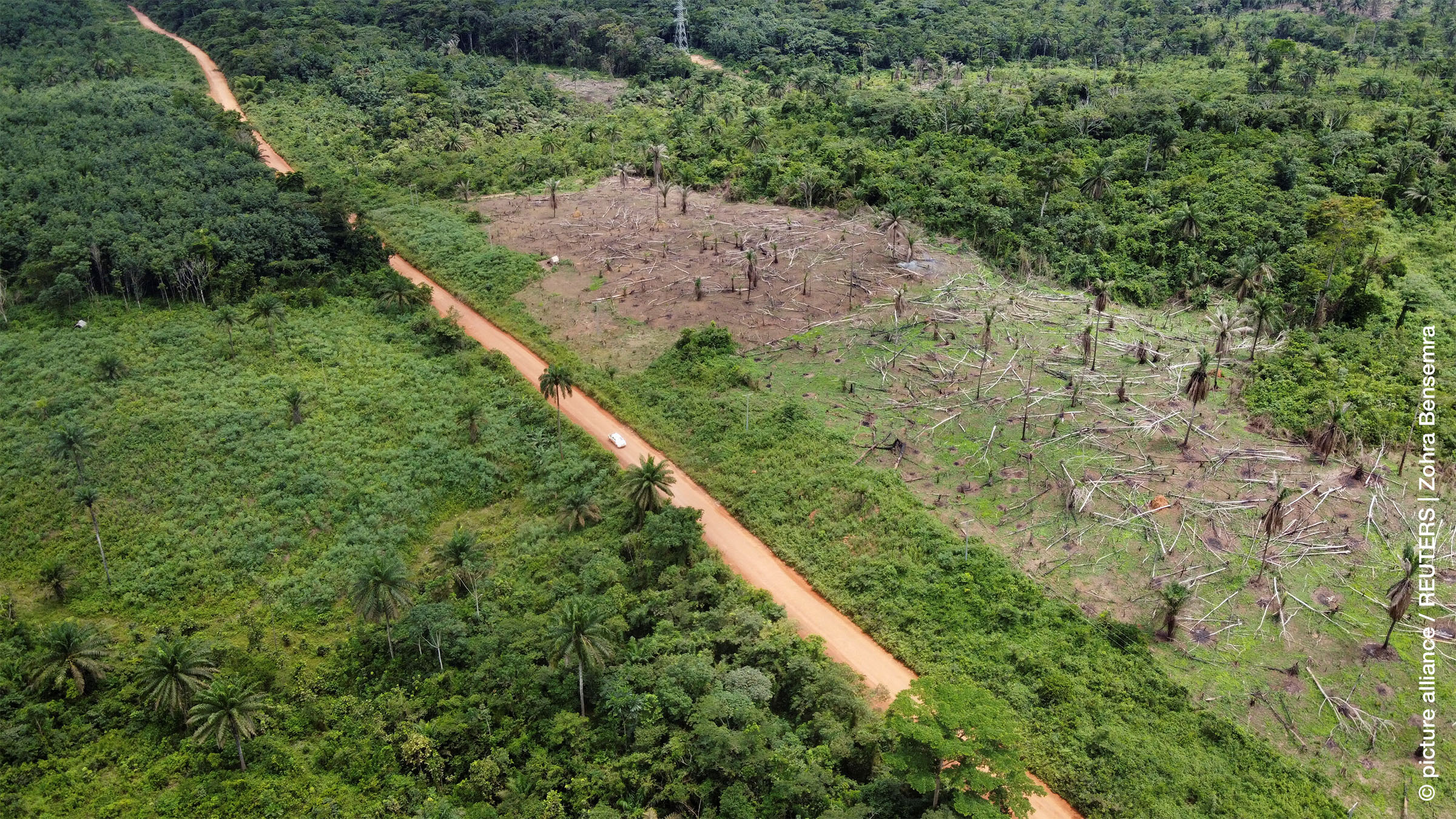 Large-Scale Agricultural Investments, Employment Opportunities, and Communal Conflict