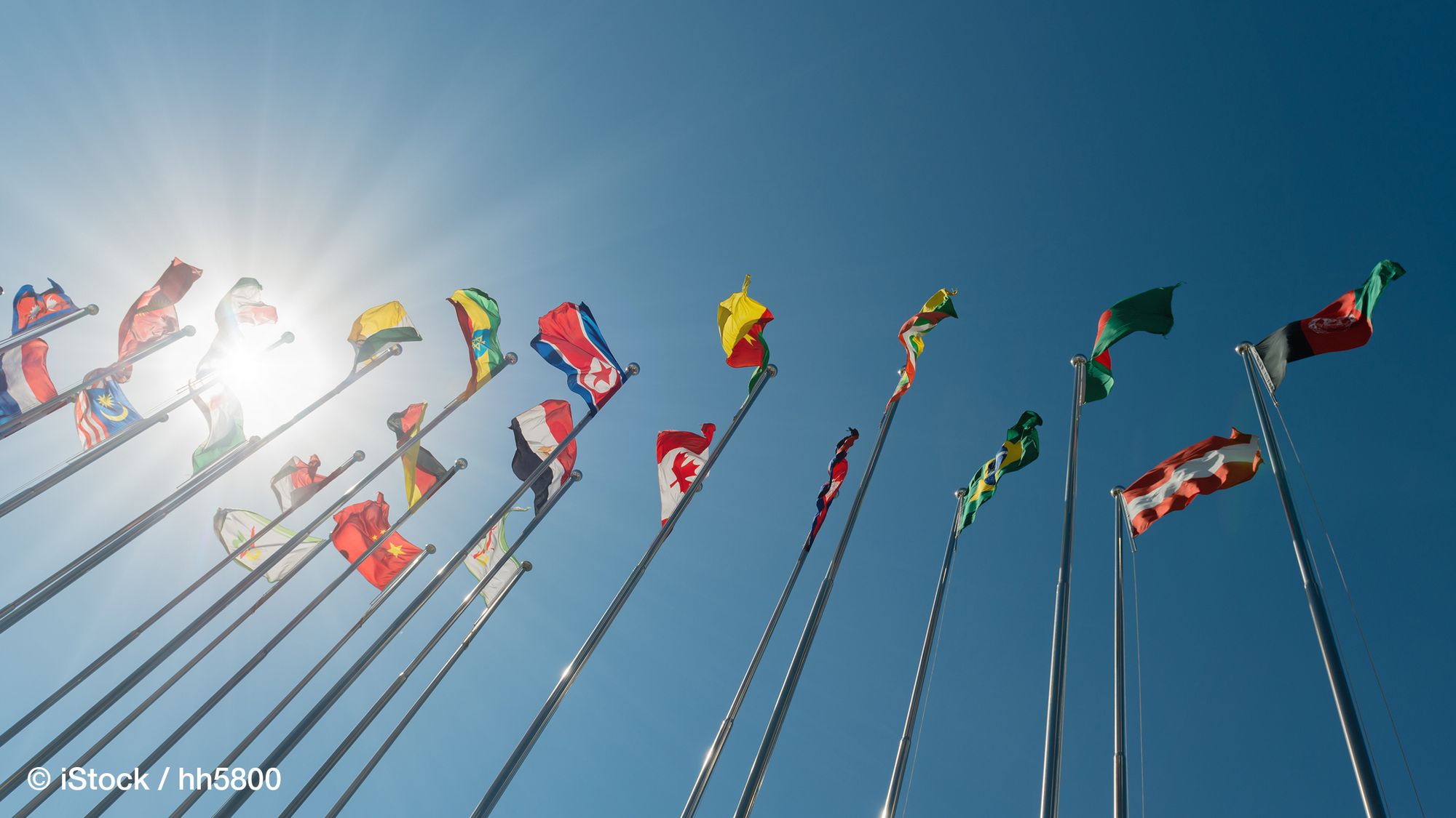 The Legitimation of International Organizations: Introducing a New Dataset