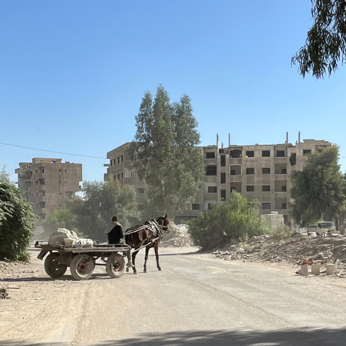 A horse-drawn cart drives through the almost completely destroyed district of Yarmuk (formerly a Palestinian neighbourhood). Minimal reconstruction is taking place on an individual basis and through personal initiative.