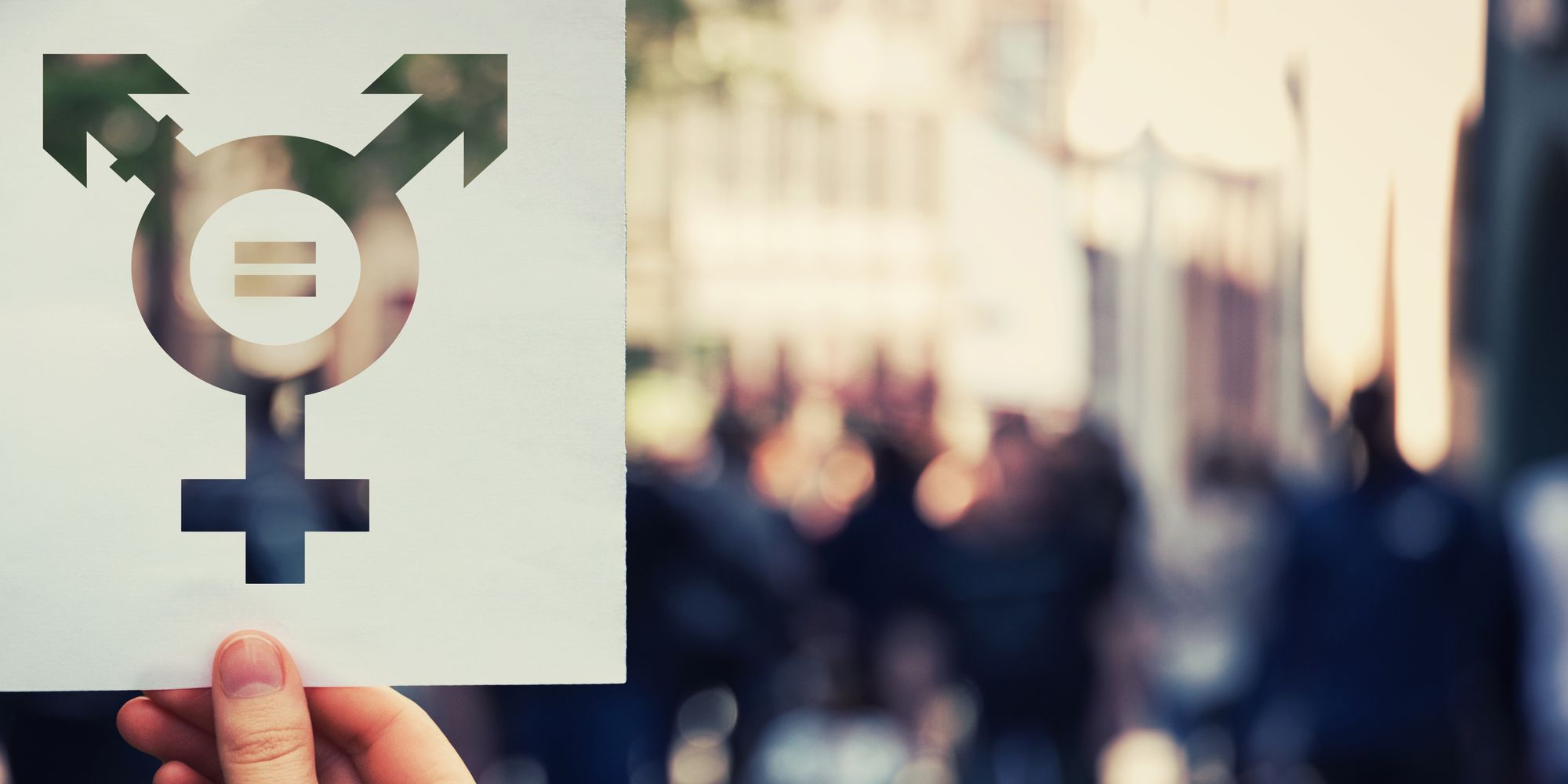 Diversity and Equal Opportunities