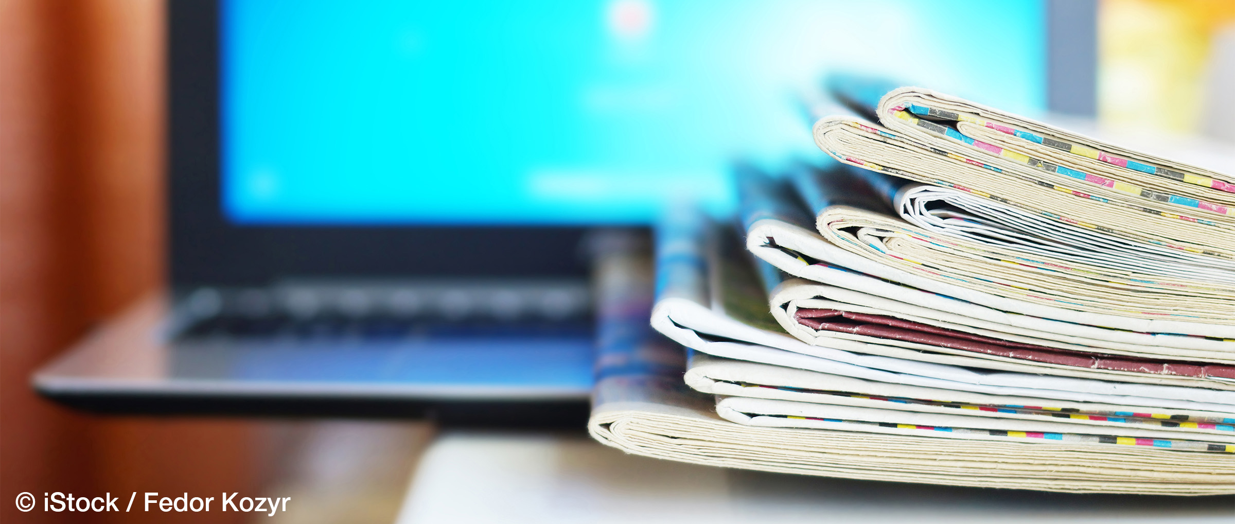 Expertin: BRICS ohne gemeinsame Identität