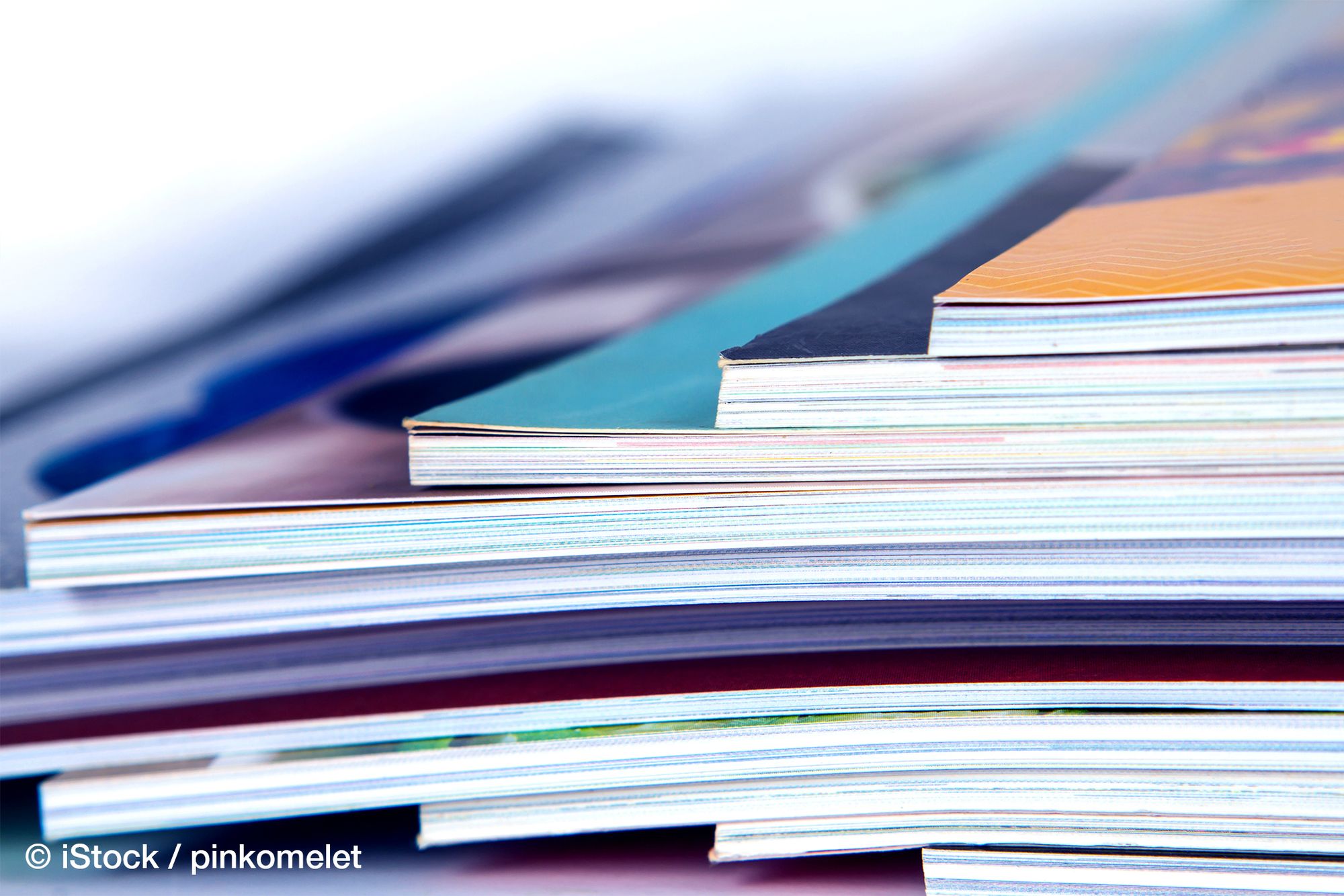 Auf dem Rückzug in die Kasernen? Autoritäre Herrschaft und das Militär im subsaharischen Afrika