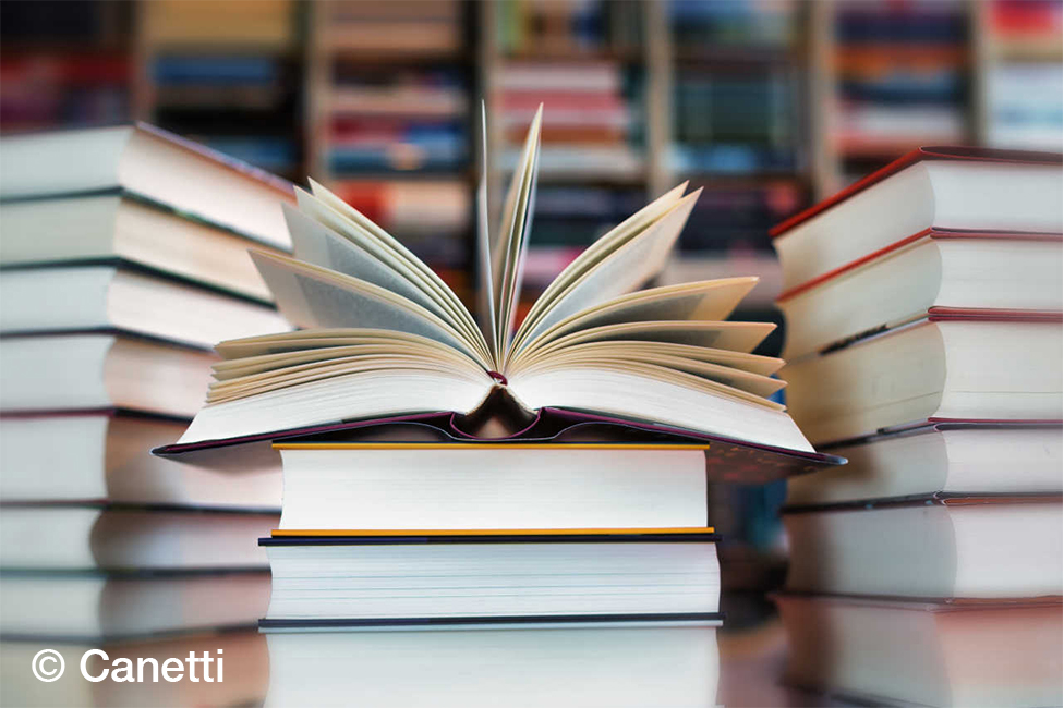 Recht als umkämpftes Terrain: Die neue Verfassung und indigene Völker in Bolivien